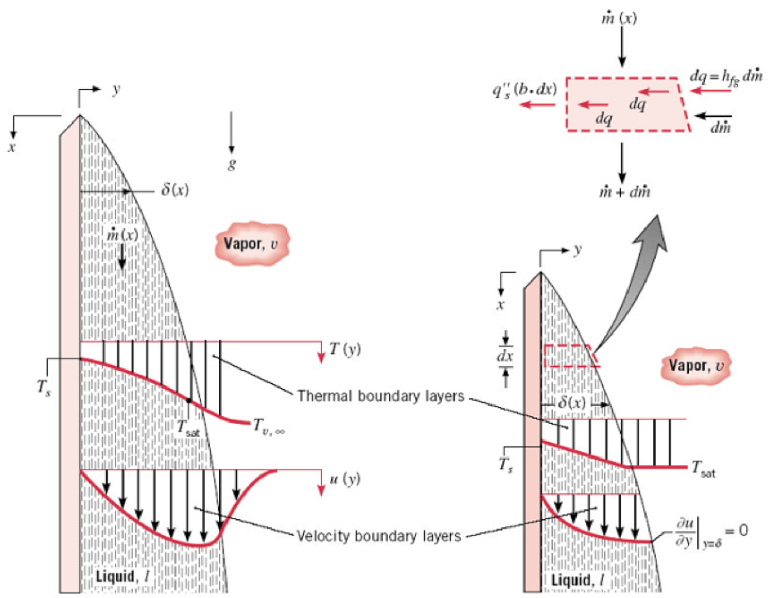 image of ht_2