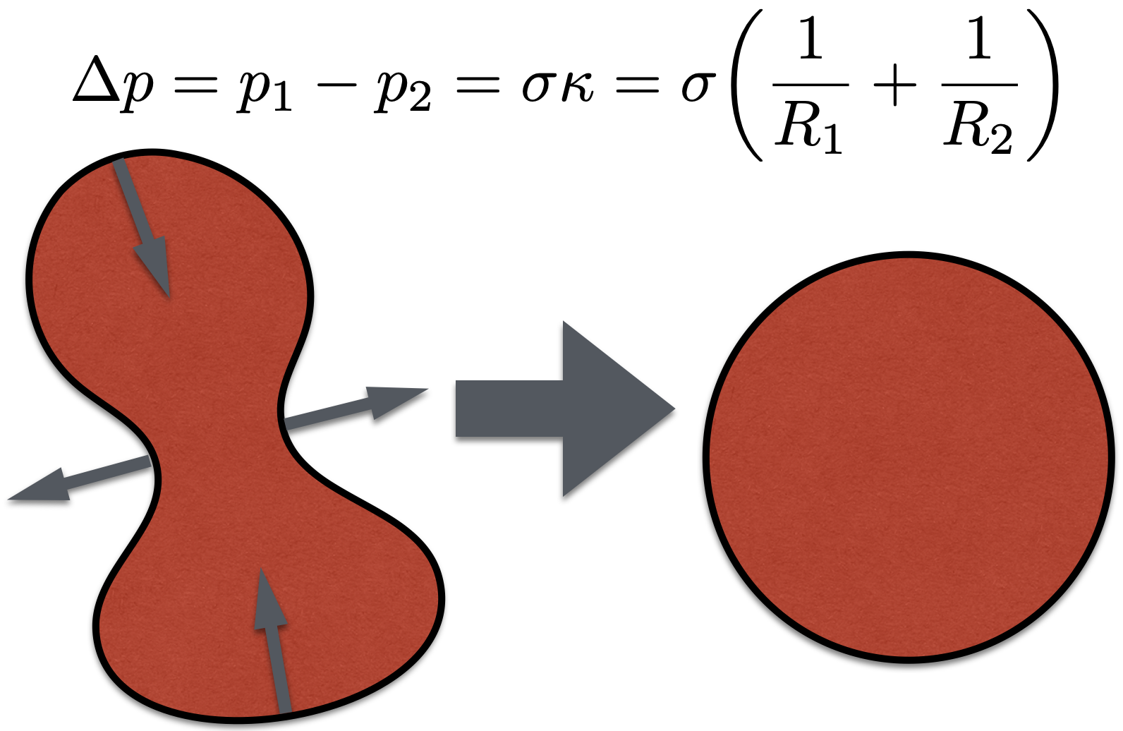 image of two-phase_3